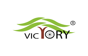 VICTORY ELECTRIC VEHICLES INTERNATIONAL LIMITED